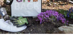 Fort Adams Trust Celebrates Selection as a Stop & Shop Community Bag Program Beneficiary